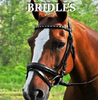 bridles-text