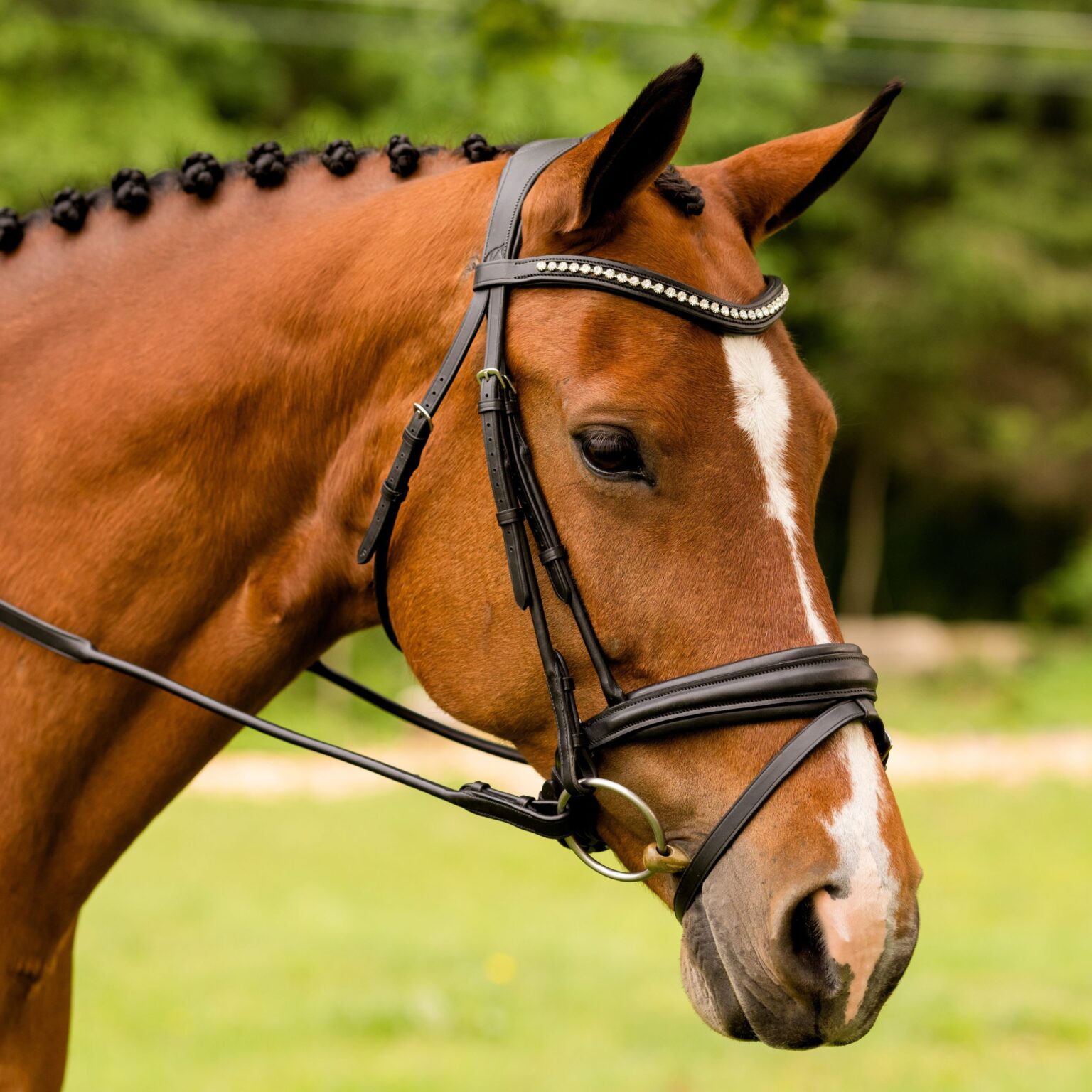 Flexion Bridle