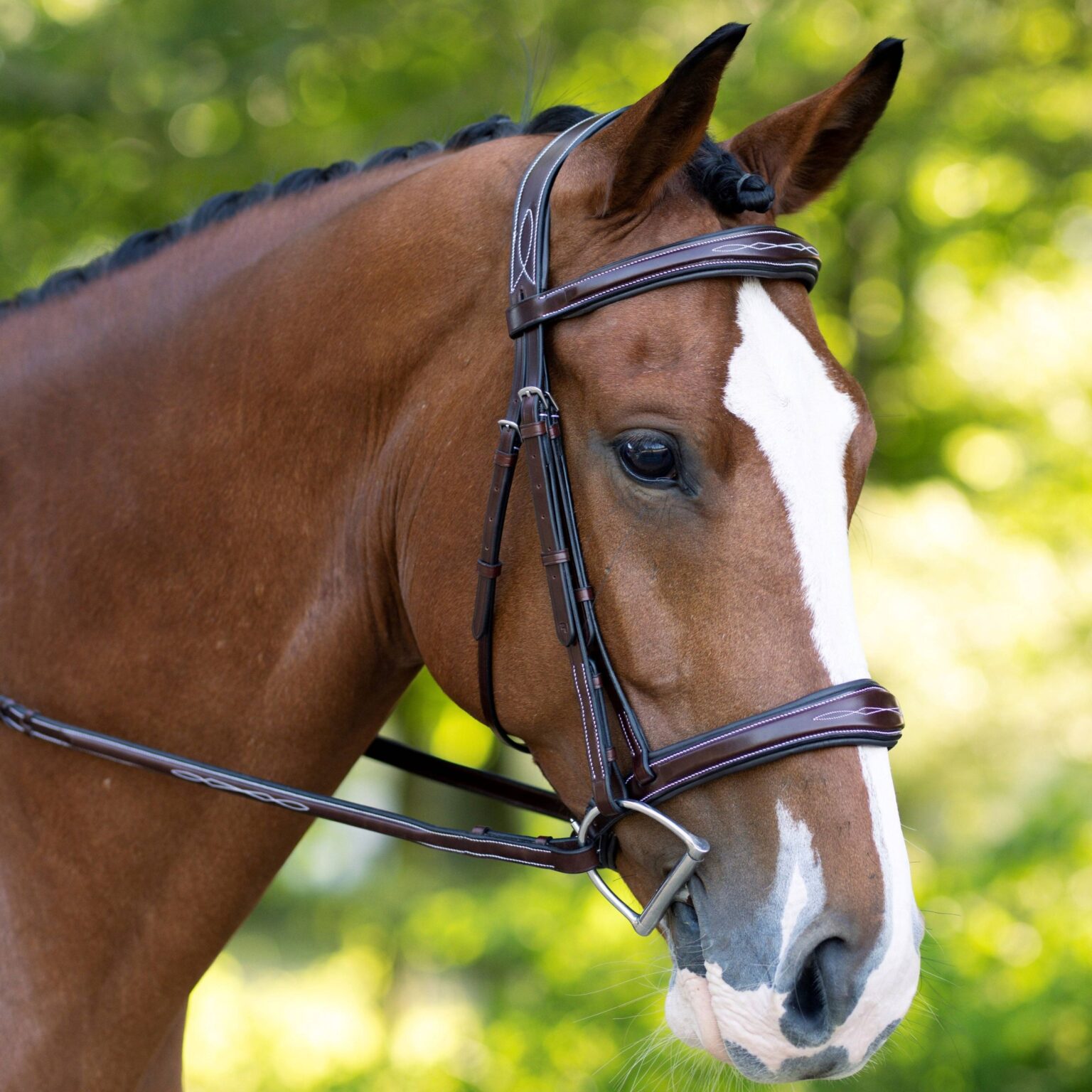 Hampton Bridle