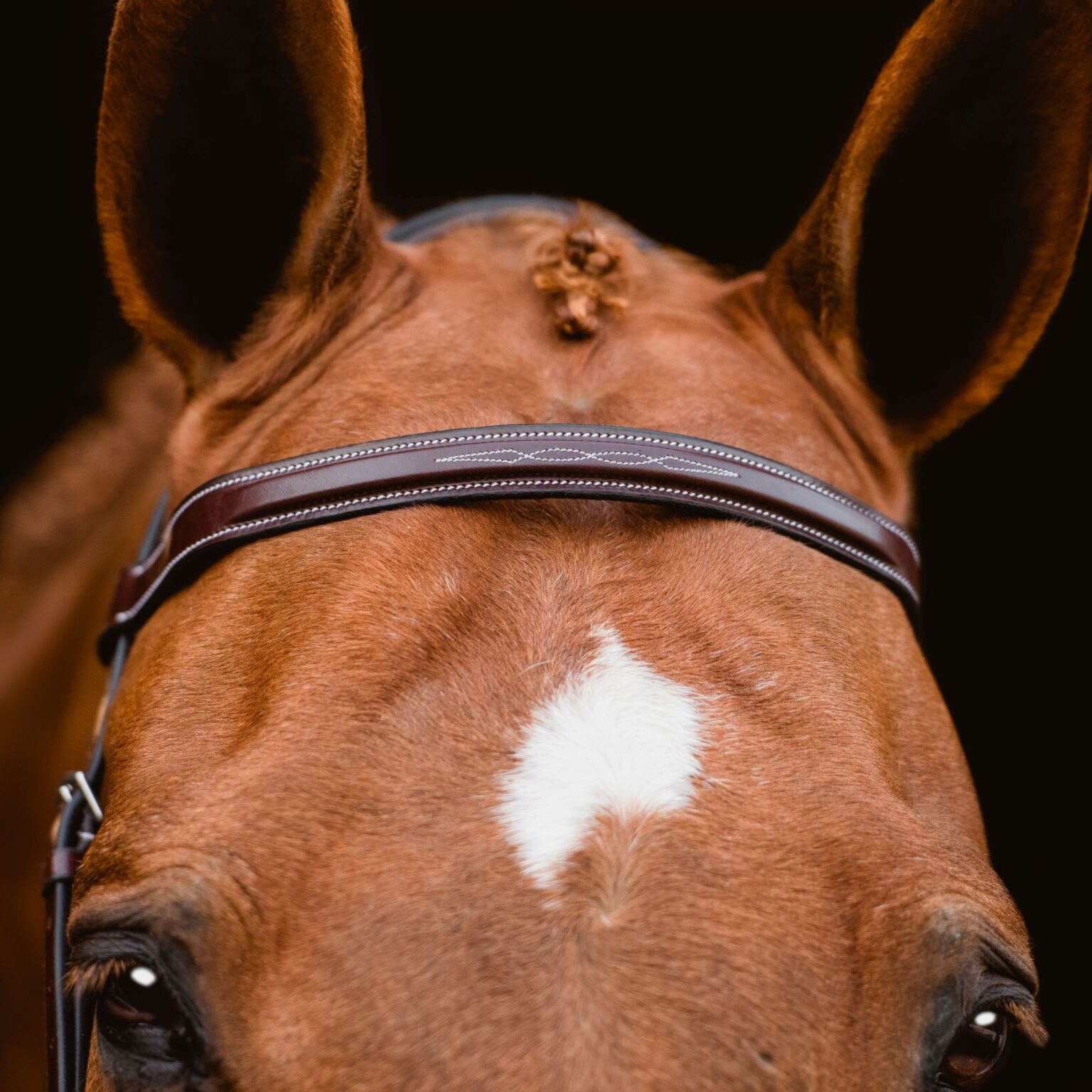 Indio Browband