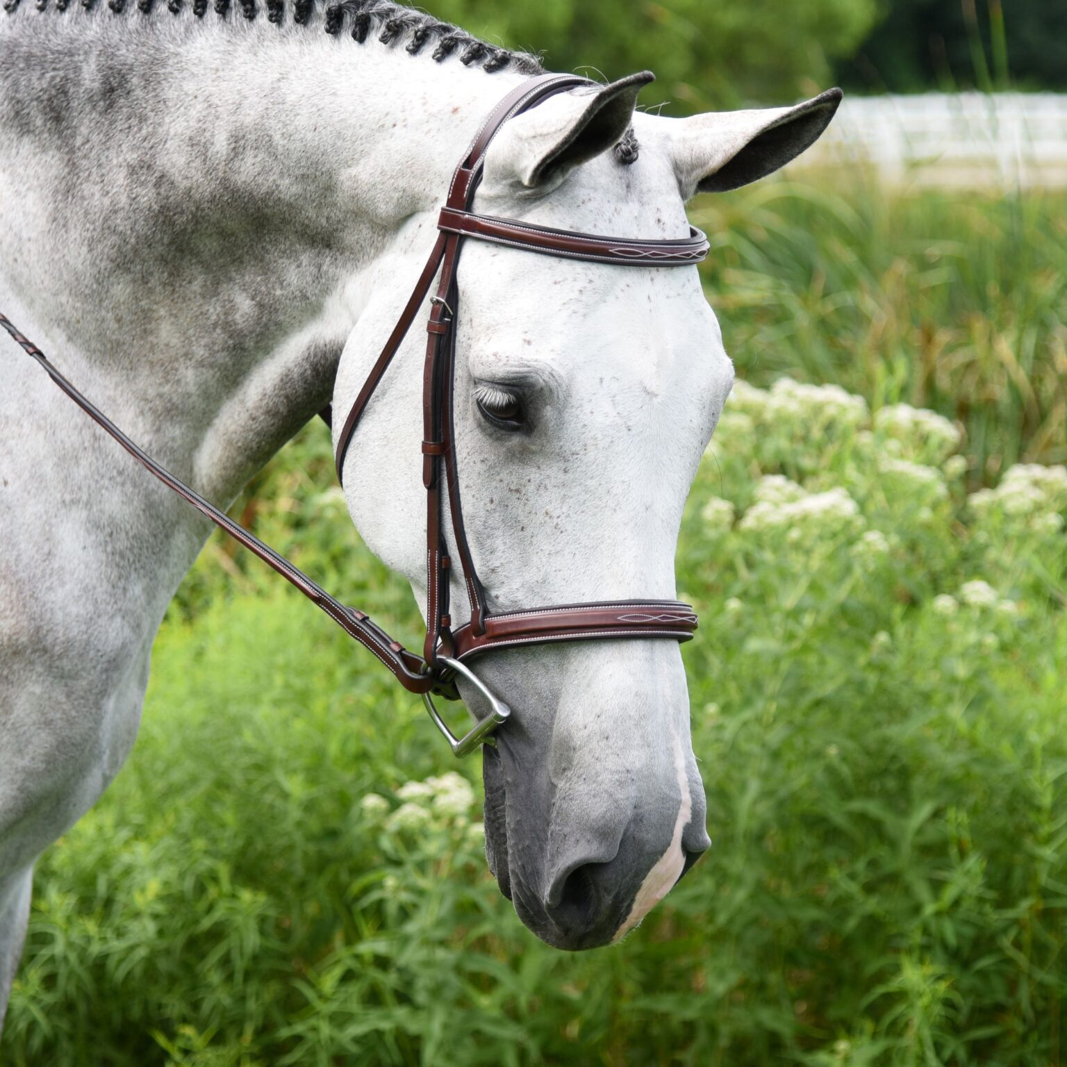 Middleburg Bridle