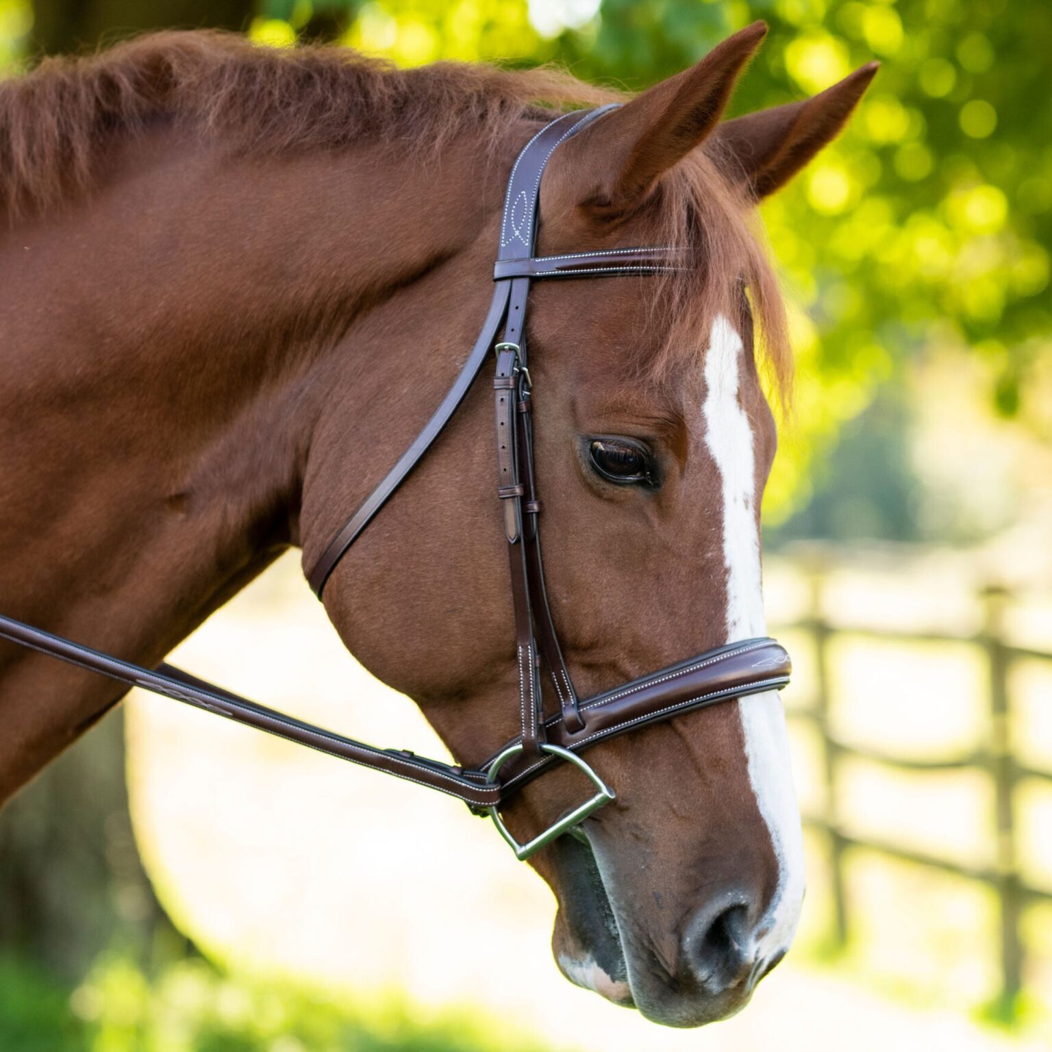 Ocala Bridle