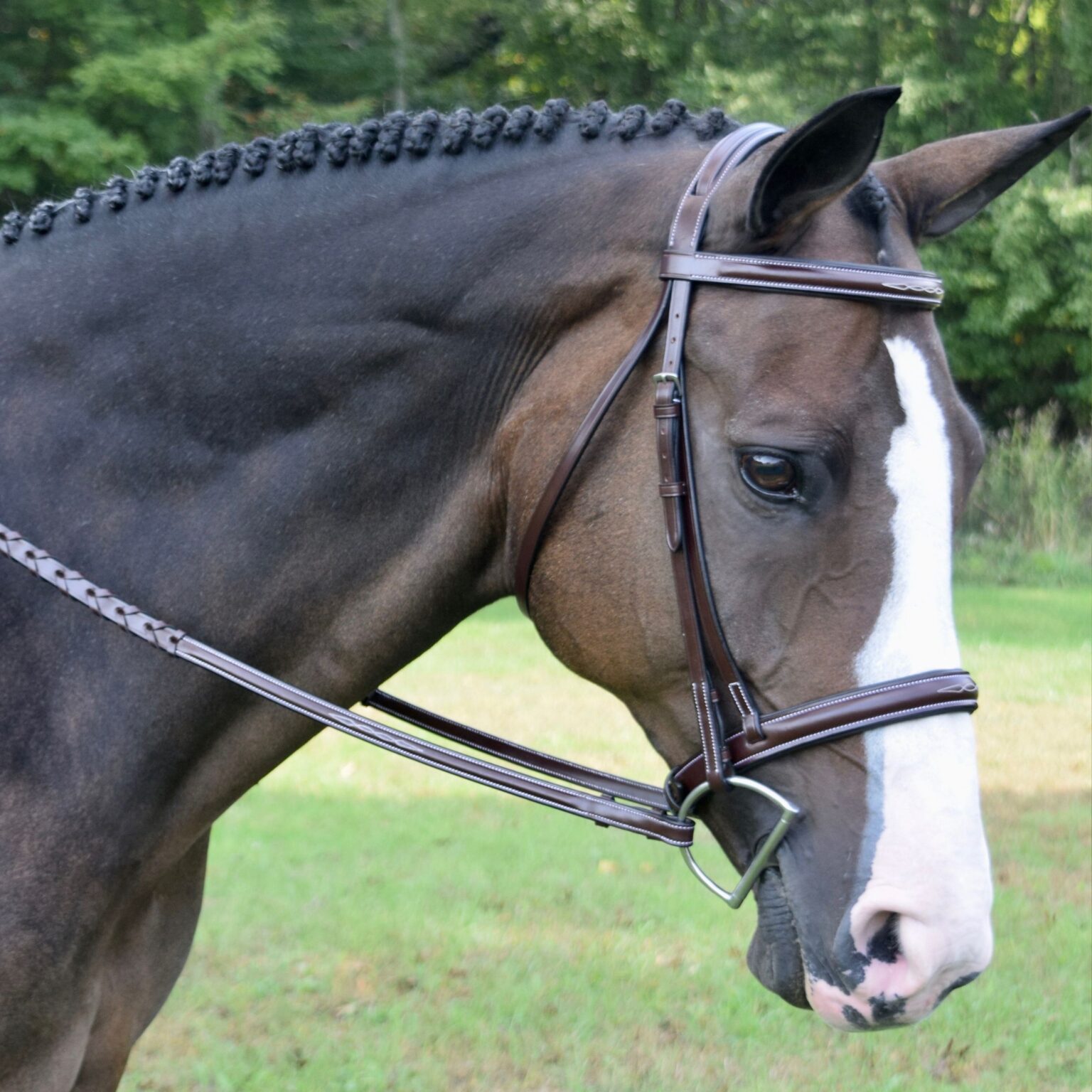 Spirit Bridle