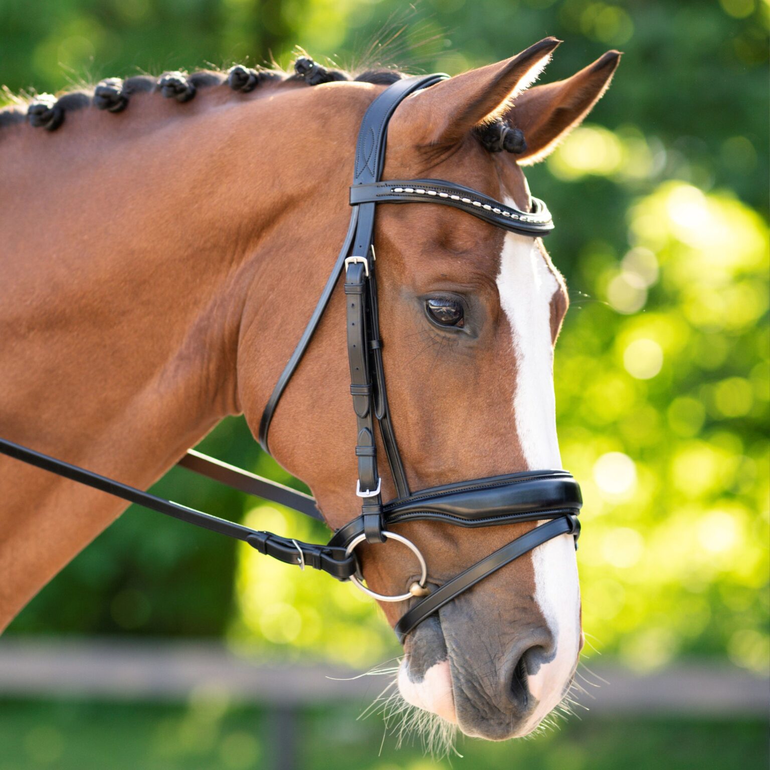 Topline Bridle