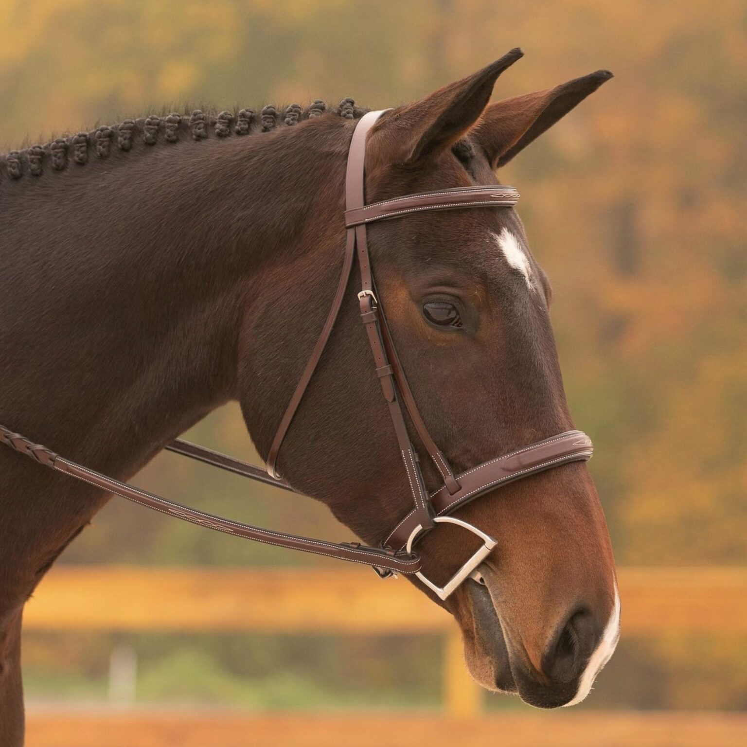 Tryon Bridle