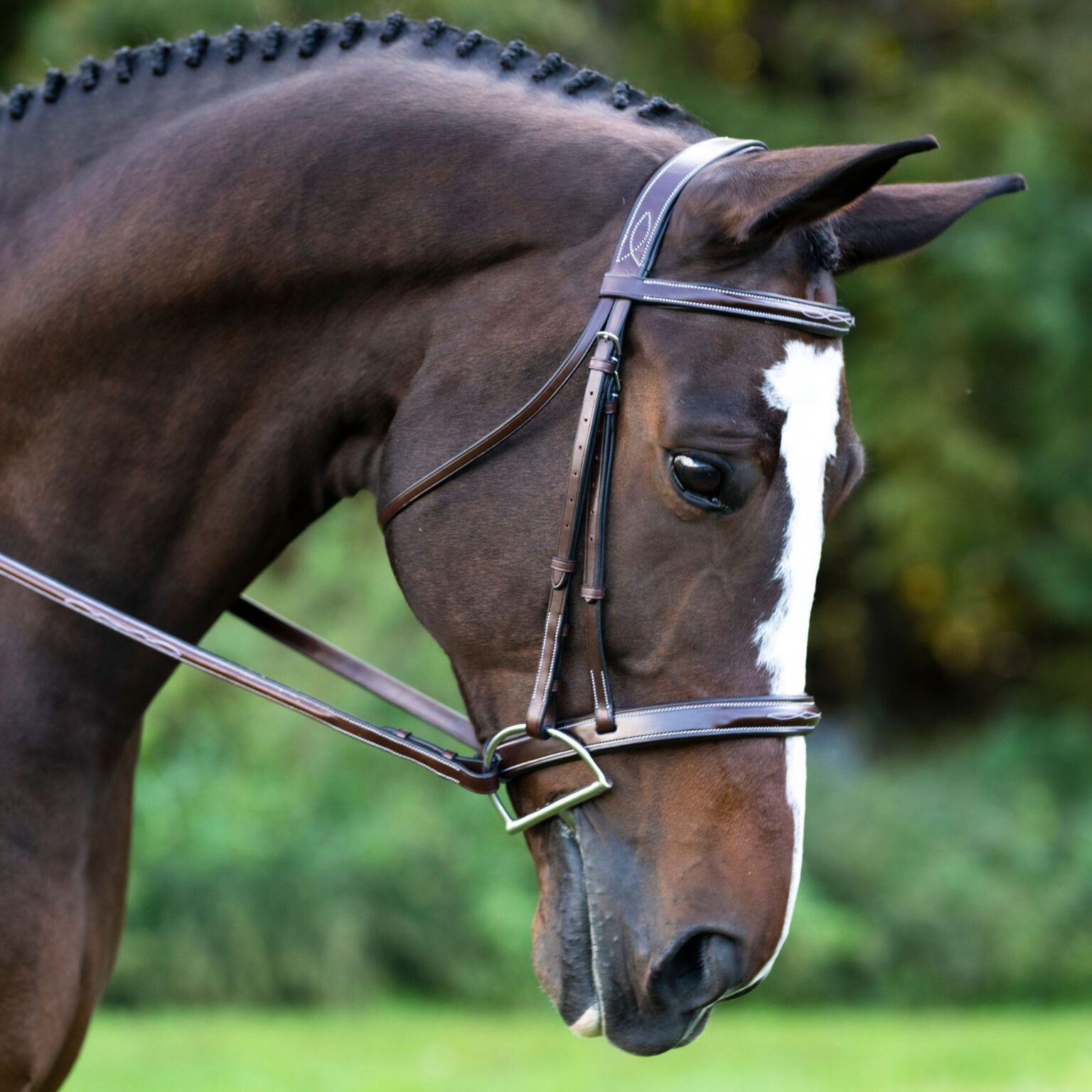 Tuscany Bridle