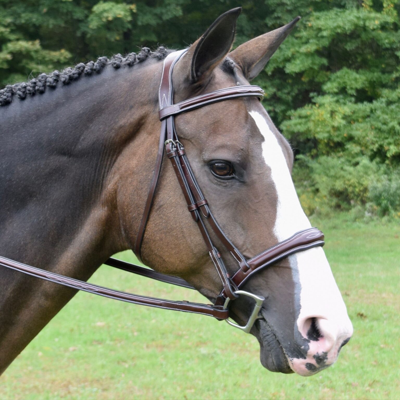 Wellington Bridle